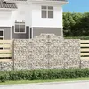 Image de vidaXL Paniers à gabions arqués 11 pcs 300x50x160/180 cm Fer galvanisé