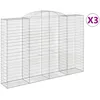 Image de Vidaxl Paniers Ã Gabions ArquÃ©s 3 Pcs 300x50x200/220 Cm Fer GalvanisÃ©
