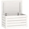 Image de vidaXL vidaXL Boîte de rangement Blanc 59,5x36,5x33 cm Bois massif de pin