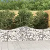 Image de vidaXL Panier de gabions arqué 200x50x60/80 cm Fer galvanisé153393