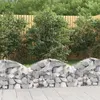 Image de vidaXL Panier de gabions arqué 100x30x40/60 cm Fer galvanisé153422