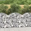 Image de vidaXL Panier de gabions arqué 100x50x80/100 cm Fer galvanisé153434