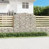 Image de Vidaxl Panier De Gabions ArquÃ© 200x50x180/200 Cm Fer GalvanisÃ©