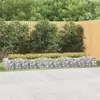 Image de vidaXL Lit surélevé à gabions arqué 400x100x50 cm Fer galvanisé