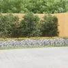 Image de Vidaxl Lit SurÃ©levÃ© Ã Gabions ArquÃ© 600x100x50 Cm Fer GalvanisÃ©