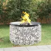 Image de vidaXL Foyer en gabion Ø 100 cm fer galvanisé153560