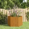 Image de vidaXL Jardinière Rouillé 60x60x45 cm Acier corten823675