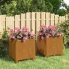 Image de vidaXL Jardinières avec pieds 2 pcs Rouillé 32x30x33 cm Acier corten