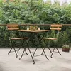 Image de vidaXL Chaises de bistrot pliantes lot de 2 Bois de teck solide acier319979