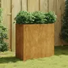 Image de vidaXL Jardinière 80x40x80 cm acier corten824525