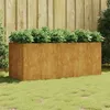 Image de vidaXL Lit surélevé de jardin 200x80x80 cm acier corten824539
