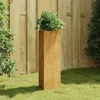 Image de vidaXL Jardinière 30x26x75 cm acier corten824545
