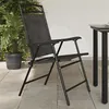 Image de vidaXL Chaises de jardin pliables lot de 2 en acier et textilène360200