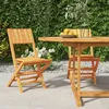 Image de vidaXL Vidaxl Chaises De Jardin Pliantes 2 Pcs 47x61x90 Cm Bois Massif Teck