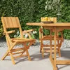 Image de vidaXL Vidaxl Chaises De Jardin Pliantes 2 Pcs 55x61x90 Cm Bois Massif Teck