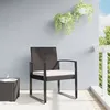 Image de vidaXL Chaises à manger de jardin lot de 2 marron rotin PP360204