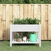 Image de Vidaxl Lit SurÃ©levÃ© De Jardin Blanc 110x45x79 Cm PolypropylÃ¨ne