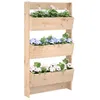 Image de vidaXL Vidaxl Jardinière Murale 3 Niveaux 60x18,5x110 Cm Bois De Pin Massif