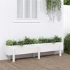 Image de vidaXL Lit surélevé de jardin blanc 160x30x38 cm bois de pin massif825192