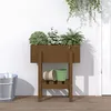 Image de vidaXL Jardinière marron miel 62x30x69 cm bois massif de pin 825236