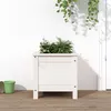 Image de Vidaxl JardiniÃ¨re Blanc 40x40x39 Cm Bois Massif De Pin