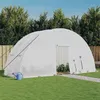 Image de vidaXL Serre avec cadre en acier blanc 12 m² 6x2x2,85 m