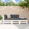Image de Vidaxl Salon De Jardin 3 Pcs Avec Coussins Blanc Bois Massif