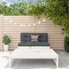 Image de Vidaxl Salon De Jardin 2 Pcs Blanc Bois De Pin Massif