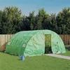 Image de vidaXL Serre avec cadre en acier vert 20 m² 5x4x2,3 m3188083