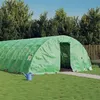Image de vidaXL Serre avec cadre en acier vert 40 m² 8x5x2,3 m