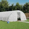 Image de Vidaxl Serre Avec Cadre En Acier Blanc 60 MÂ² 12x5x2,3 M