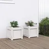 Image de Vidaxl JardiniÃ¨res 2 Pcs Blanc Bois De Pin Massif
