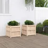 Image de Vidaxl JardiniÃ¨res 2 Pcs Bois De Pin Massif