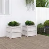 Image de Vidaxl JardiniÃ¨res 2 Pcs Blanc Bois De Pin Massif