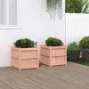 Image de Vidaxl JardiniÃ¨res 2 Pcs Bois Massif Douglas