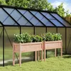 Image de Vidaxl JardiniÃ¨res 2 Pcs Avec Pieds Bois Massif Douglas