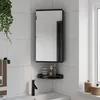 Image de vidaXL Armoire de bain à miroir d'angle noir 30x24x60 cm357979