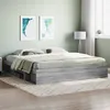 Image de vidaXL Cadre de lit sans matelas sonoma gris 200x200 cm3203892