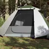 Image de vidaXL Tente de camping à dôme 2 personne vert imperméable94323