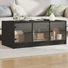 Image de vidaXL Table basse avec portes en verre noir 102x50x42 cm836414