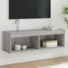 Image de vidaXL Meuble TV avec lumières LED sonoma gris 100x30x30 cm
