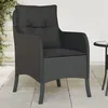 Image de vidaXL Chaises de jardin avec coussins lot de 2 noir résine tressée