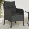 Image de vidaXL Vidaxl Chaises De Jardin Avec Coussins 2 Pcs Noir Résine Tressée