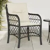 Image de Vidaxl Chaises De Jardin Avec Coussins 2 Pcs Noir RÃ©sine TressÃ©e
