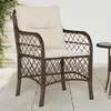 Image de vidaXL Chaises de jardin avec coussins lot de 2 marron résine tressée365154