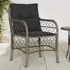 Image de vidaXL Chaises de jardin avec coussins lot de 2 gris résine tressée365155