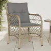 Image de vidaXL Chaises de jardin avec coussins lot de 2 mélange beige rotin365157
