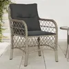 Image de vidaXL Chaises de jardin coussins lot de 2 gris clair résine tressée