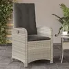 Image de vidaXL Chaise inclinable de jardin coussins gris clair résine tressée