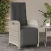 Image de vidaXL Chaise inclinable de jardin avec repose-pied gris clair rotin365190